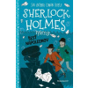 Sherlock Holmes vyšetruje: Šesť Napoleonov - Stephanie Baudet Sherlock Holmes vyšetruje: Šesť Napoleonov - Stephanie Baudet