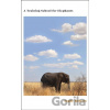 A Training School for Elephants - Sophy Roberts A Training School for Elephants - Sophy Roberts