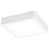 Rabalux SHAUN2 LED stropné svietidlo 71197 Rabalux SHAUN2 LED stropné svietidlo 71197