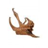 Akváriový/teráriový koreň Mangrove L 40/60cm Zolux Akváriový/teráriový koreň Mangrove L 40/60cm Zolux