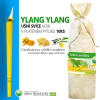 Ušné sviece HOXI s Ylang Ylang - 10ks Ušné sviece HOXI s Ylang Ylang - 10ks