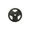 Insportline Liatinový kotúč Hamerton Black 1,25 kg 30 mm Insportline Liatinový kotúč Hamerton Black 1,25 kg 30 mm