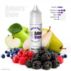 Adam's Vape Adam´s Vape Shake and Vape Garden Fruit 12ml aróma pre výrobu e-liquidu Longfill Adam's Vape Adam´s Vape Shake and Vape Garden Fruit 12ml aróma pre výrobu e-liquidu Longfill
