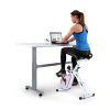 Capital Sports Azura Desk Bike, domáci rotoped, stacionárny bicykel, cyklotrenažér, záťažové koleso 7,5 kg, remeňový pohon (FIT4-AzuraDskRoseG) Capital Sports Azura Desk Bike, domáci rotoped, stacionárny bicykel, cyklotrenažér, záťažové koleso 7,5 kg, remeňový pohon (FIT4-AzuraDskRoseG)