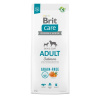 Brit Care dog Grain-free Adult 12 kg (Brit Care Grain-free - Superprémiové krmivo bez obilnín s lososom a zemiakmi pre dospelé psy malých a stredných plemien (1-25 kg)) Brit Care dog Grain-free Adult 12 kg (Brit Care Grain-free - Superprémiové krmivo bez obilnín s lososom a zemiakmi pre dospelé psy malých a stredných plemien (1-25 kg))