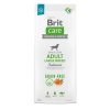 Brit Care dog Grain-free Adult Large Breed 12 kg (Brit Care Grain-free Adult Large Breed - krmivo bez obilnín s lososom a zemiakmi pre dospelé psy veľkých plemien (nad 25 kg)) Brit Care dog Grain-free Adult Large Breed 12 kg (Brit Care Grain-free Adult Large Breed - krmivo bez obilnín s lososom a zemiakmi pre dospelé psy veľkých plemien (nad 25 kg))