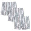 3PACK Klasické pánske trenky Foltýn svetlé proužky (3xK59) XL 120 dní na výmenu alebo vrátenie tovaru! 3PACK Klasické pánske trenky Foltýn svetlé proužky (3xK59) XL 120 dní na výmenu alebo vrátenie tovaru!