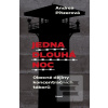 Jedna dlouhá noc (Andrea Pitzer) Jedna dlouhá noc (Andrea Pitzer)