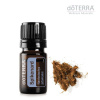 Esenciálny olej doTERRA Spikenard, Valeriána himalájska 5 ml Esenciálny olej doTERRA Spikenard, Valeriána himalájska 5 ml