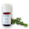 ARTTEC prírodný vonný olej Červená myrta bio 10 ml NAT00015 ARTTEC prírodný vonný olej Červená myrta bio 10 ml NAT00015