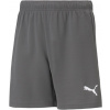 Puma | teamRISE Short Jr | šedá| 128 Puma | teamRISE Short Jr | šedá| 128