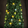 Solárna LED svetelná reťaz – huby – 2,4 m – 25 LED – teplá biela Solárna LED svetelná reťaz – huby – 2,4 m – 25 LED – teplá biela