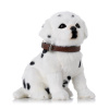 Psík dalmatín sediaci bie/čie textil 14,5*10*16cm Psík dalmatín sediaci bie/čie textil 14,5*10*16cm