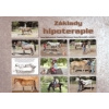 Základy hipoterapie - Hermanová Hana Münichová Daniela Nerandžič Zoran a kolektiv Základy hipoterapie - Hermanová Hana Münichová Daniela Nerandžič Zoran a kolektiv