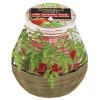 Sviečka bolsius Teracce Citronella, repelentná, 94/91 mm, paradajka Sviečka bolsius Teracce Citronella, repelentná, 94/91 mm, paradajka
