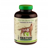 Nekton Biotic Dog - probiotika pro psy 200g Nekton Biotic Dog - probiotika pro psy 200g