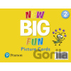 New Big Fun 2 - Picture Cards - Barbara Hojel, Mario Herrera New Big Fun 2 - Picture Cards - Barbara Hojel, Mario Herrera