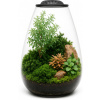 INVITAL MicroTerrarium 6 l INVITAL MicroTerrarium 6 l