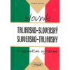 Taliansko - slovenský slovensko - taliansky slovník s najnovšími výrazmi - Sehnal Roman Taliansko - slovenský slovensko - taliansky slovník s najnovšími výrazmi - Sehnal Roman