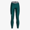 UNDER ARMOUR UA HG Authentics Legging LG UNDER ARMOUR UA HG Authentics Legging LG