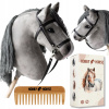 HOBBY HORSE KÔŇ NA PALICI A3 KONÍK S HRIVOU HLAVA KONÍKA HREBEŇ + KRABICA HOBBY HORSE KÔŇ NA PALICI A3 KONÍK S HRIVOU HLAVA KONÍKA HREBEŇ + KRABICA