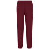 Pánske nohavice EA7 Man Jersey - windsor wine - Červený (S) Pánske nohavice EA7 Man Jersey - windsor wine - Červený (S)