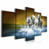 Obraz na plátne viacdielny - OB4035 - Kone 100cm x 50cm - S19 Obraz na plátne viacdielny - OB4035 - Kone 100cm x 50cm - S19