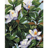 Zuty - Maľovanie podľa čísel - Biele kvety magnólie A Listy (Alexandria Gilbert), 80 × 100 cm, plátno 8596530118701 Zuty - Maľovanie podľa čísel - Biele kvety magnólie A Listy (Alexandria Gilbert), 80 × 100 cm, plátno 8596530118701