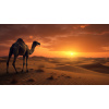 Obraz – Ťava v Púšti I Príroda – AiArt 16:9 Obraz – Ťava v Púšti I Príroda – AiArt 16:9