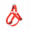 Postroj nylon Červená DUVO+ 1,5 x 40-50 cm Červená 1,5 x 40-50 cm Postroj nylon Červená DUVO+ 1,5 x 40-50 cm Červená 1,5 x 40-50 cm