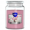 Bispol Aura Maxi Spa Garden 500 g Bispol Aura Maxi Spa Garden 500 g