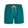 Pánske Šortky O NEILL CALI PANEL SHORTS 2800043-15010 – Modrá Pánske Šortky O NEILL CALI PANEL SHORTS 2800043-15010 – Modrá