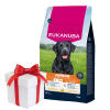 EUKANUBA Junior Large 15kg + Prekvapenie pre psa ZADARMO! EUKANUBA Junior Large 15kg + Prekvapenie pre psa ZADARMO!