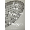 For an Ecology of Images For an Ecology of Images