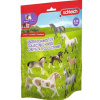 Schleich Sáček s překvapením Koně Schleich Sáček s překvapením Koně