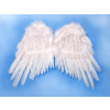 Anjelské krídla 53x37cm Anjelské krídla 53x37cm