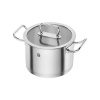 Zwilling Pro hrniec s pokrievkou 20 cm/3,5 l, 65123-200 Zwilling Pro hrniec s pokrievkou 20 cm/3,5 l, 65123-200