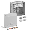 Abox Pro SLK-6mm2 (NEW) Abox Pro SLK-6mm2 (NEW)