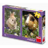Dino - Puzzle 2x48 Králik a morča - 40-99 dielov Dino - Puzzle 2x48 Králik a morča - 40-99 dielov