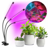 Stojaca lampa GROW na pestovanie rastlín KOBI DESIGN 10 W Stojaca lampa GROW na pestovanie rastlín KOBI DESIGN 10 W