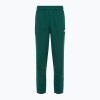 Dámske nohavice New Balance French Terry Jogger night watch green Dámske nohavice New Balance French Terry Jogger night watch green