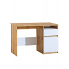 Dolmar Písací stôl pre mládež 120 cm ARCA AR7 Dolmar Písací stôl pre mládež 120 cm ARCA AR7
