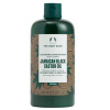 The Body Shop Bezoplachový kondicionér pre kučeravé a vlnité vlasy Jamajský čierny ricínový olej (Cleansing Conditioner) 400 ml The Body Shop Bezoplachový kondicionér pre kučeravé a vlnité vlasy Jamajský čierny ricínový olej (Cleansing Conditioner) 400 ml