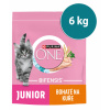 Purina ONE Bifensis Junior granule pre mačiatka kura 8 x 750 g Purina ONE Bifensis Junior granule pre mačiatka kura 8 x 750 g