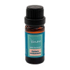 Esenciálny olej Kardamóm Venoc 10 ml Esenciálny olej Kardamóm Venoc 10 ml