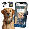GPS LOKÁTOR 4G BEZ PREDPLATNÉHO PRE PSA, MAČKU S DRŽIAKOM A DLHOU VÝDRŽOU BATÉRIE GPS LOKÁTOR 4G BEZ PREDPLATNÉHO PRE PSA, MAČKU S DRŽIAKOM A DLHOU VÝDRŽOU BATÉRIE