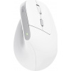 Trust Bayo II Ergonomic Wireless Mouse 25398 Trust Bayo II Ergonomic Wireless Mouse 25398