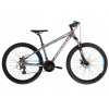 Horský bicykel - MTB Bike Kross Hexagon 3,0 Strieborný rám 14 palcov (MTB Bike Kross Hexagon 3,0 Strieborný rám 14 palcov)