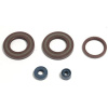 ATHENA P400220400350 ATHENA SADA (SET) TESNENÍ MOTORA HUSQVARNA TE 350 90-95, TE 400/410 96-04, TE 510 89-91, T ATHENA P400220400350 ATHENA SADA (SET) TESNENÍ MOTORA HUSQVARNA TE 350 90-95, TE 400/410 96-04, TE 510 89-91, T