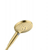 Hansgrohe Sprchová hlavice Raindance-Select leštěný vzhled zlata 26531990 Hansgrohe Sprchová hlavice Raindance-Select leštěný vzhled zlata 26531990